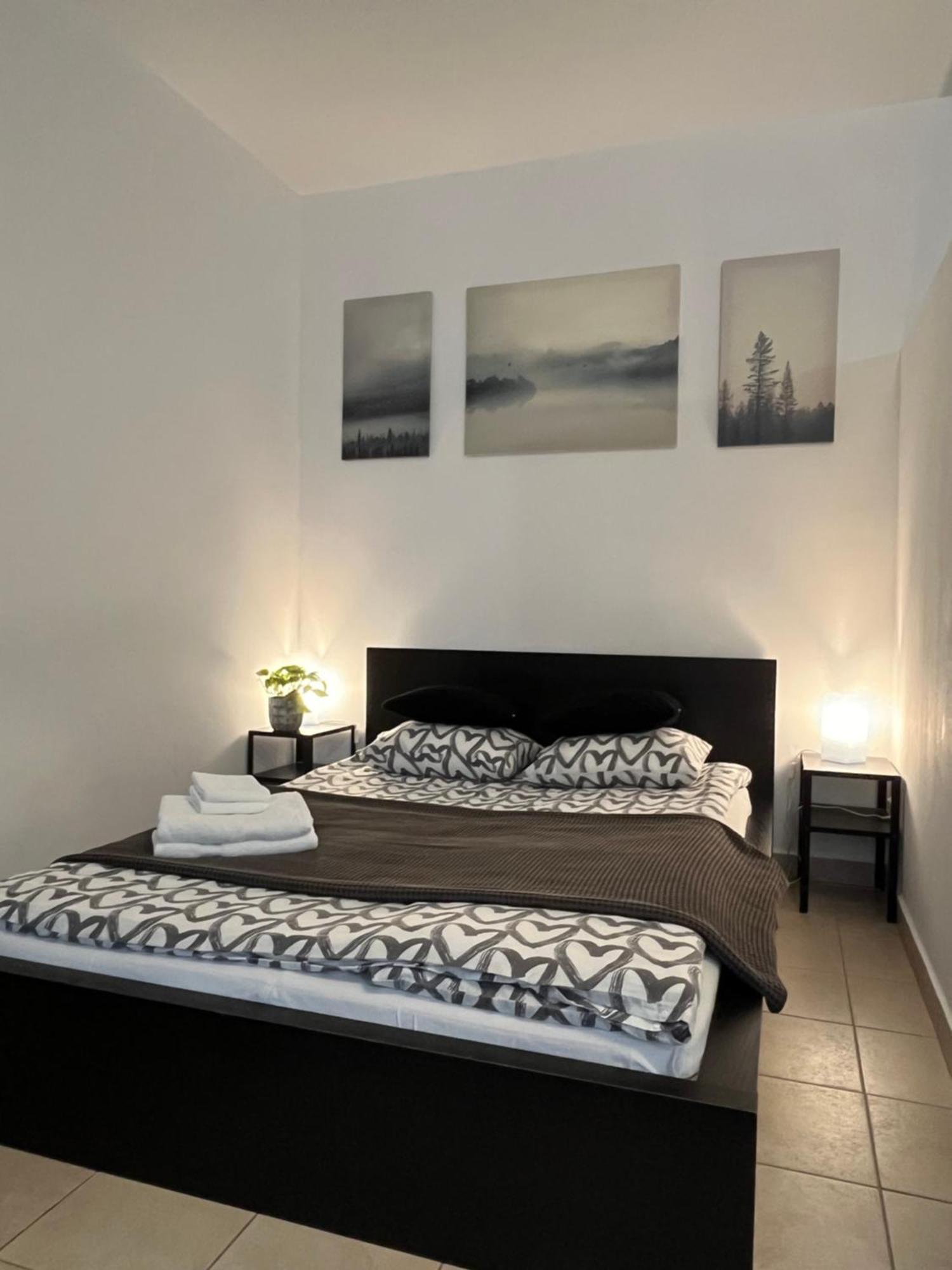 Downtown Rose Garden Apartments Whit Garage Opcional Budapest Ngoại thất bức ảnh